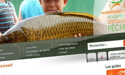 Retrouvez votre nature avec la pêche