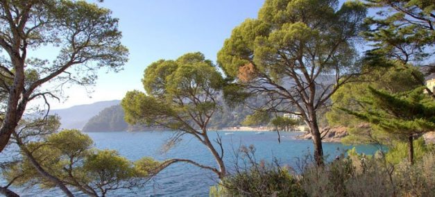 Rayol-Canadel-sur-Mer
