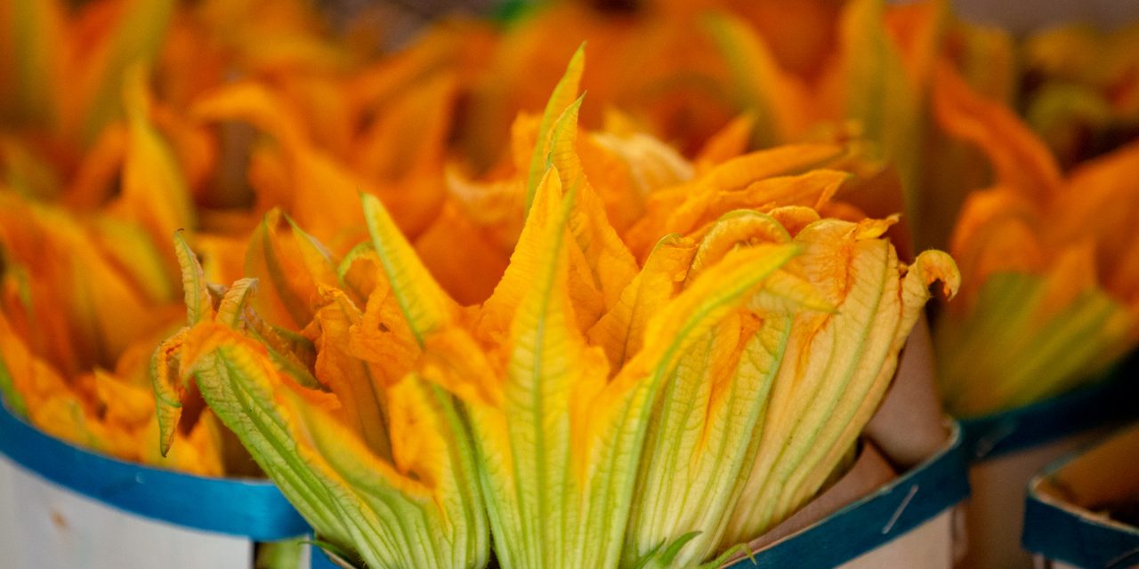 LES FARCIS NIÇOIS