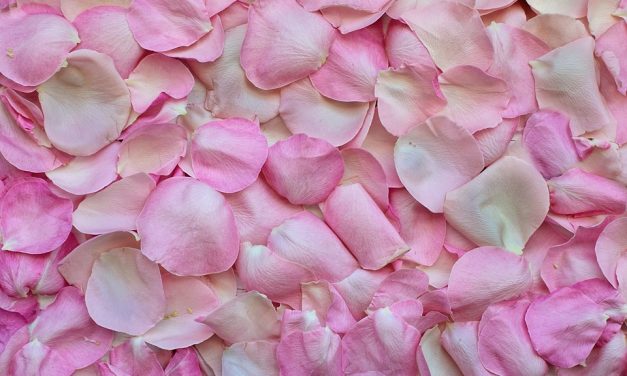 Les savoir-faire liés au Parfum en Pays de Grasse