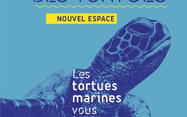 L’odyssée des Tortues au Musée Océanographique de Monaco